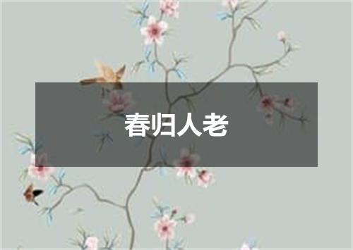 春归人老