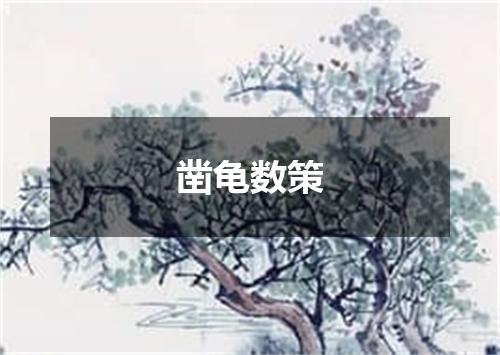 凿龟数策