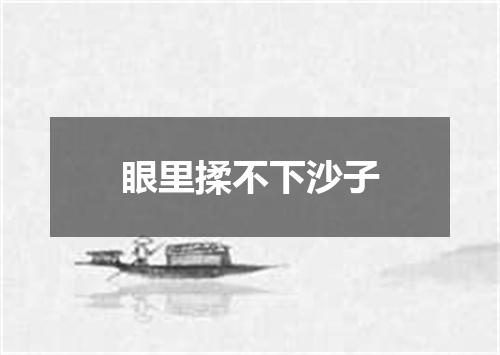 眼里揉不下沙子