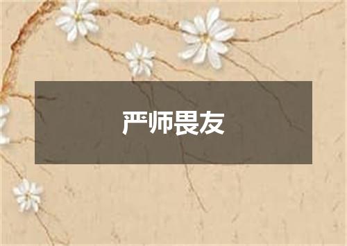 严师畏友