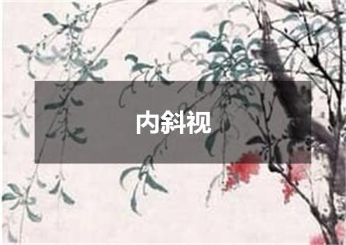 内斜视
