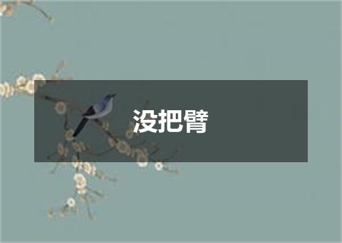 没把臂