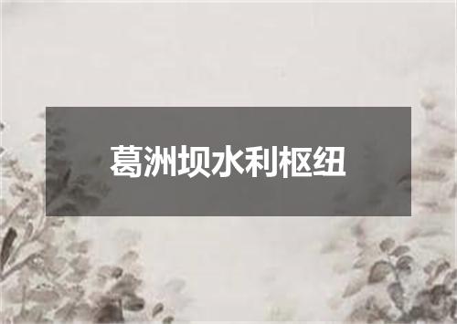 葛洲坝水利枢纽