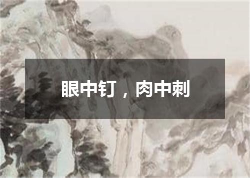 眼中钉，肉中刺
