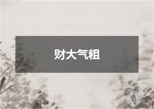 财大气粗