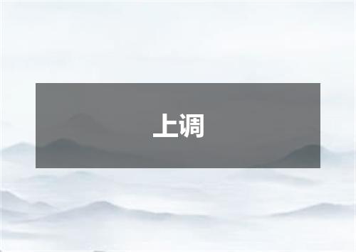 上调