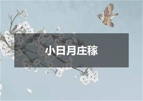 小日月庄稼