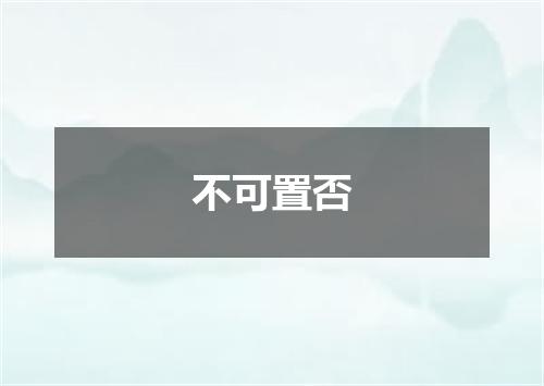 不可置否