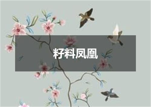 籽料凤凰