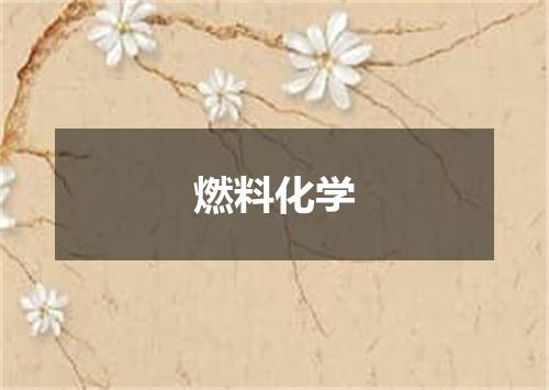 燃料化学