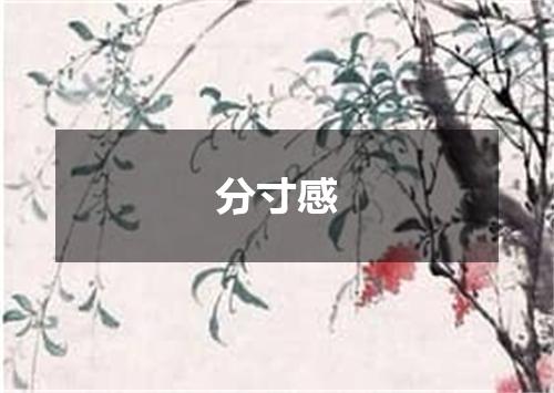 分寸感