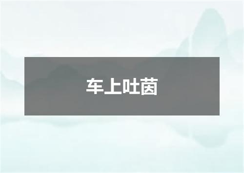 车上吐茵