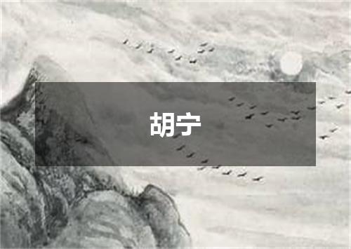 胡宁
