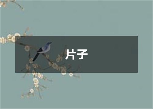 片子