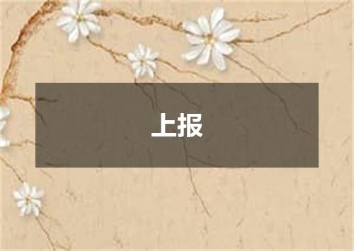 上报