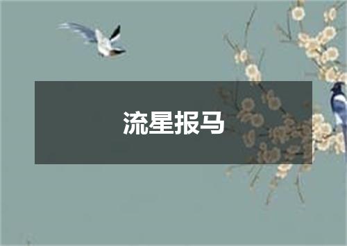 流星报马