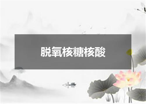 脱氧核糖核酸