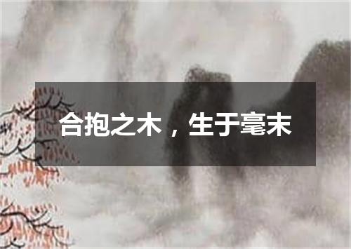 合抱之木，生于毫末