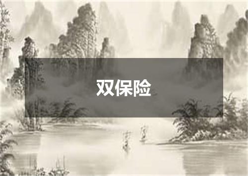 双保险