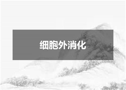 细胞外消化