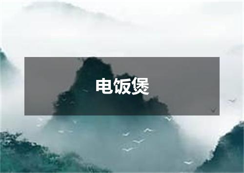 电饭煲