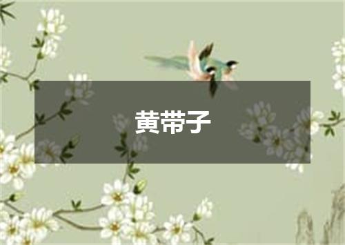 黄带子