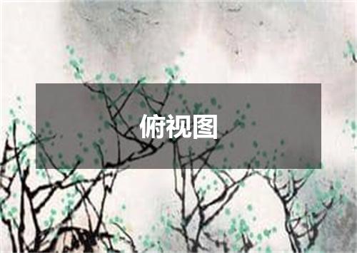俯视图