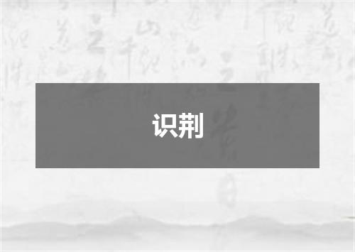 识荆