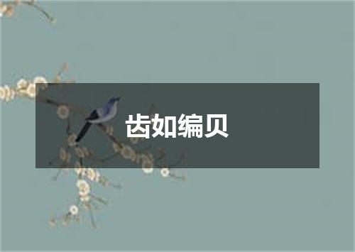 齿如编贝