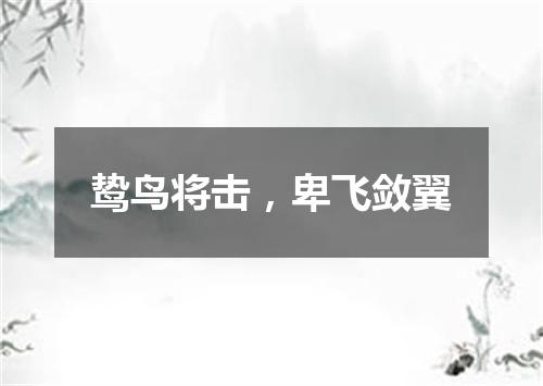 鸷鸟将击，卑飞敛翼