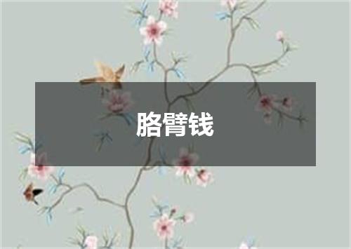 胳臂钱