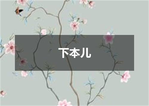 下本儿