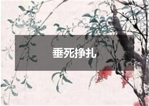 垂死挣扎