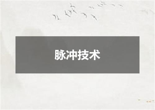 脉冲技术