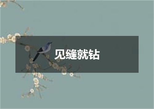 见缝就钻