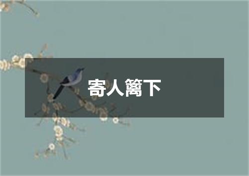 寄人篱下