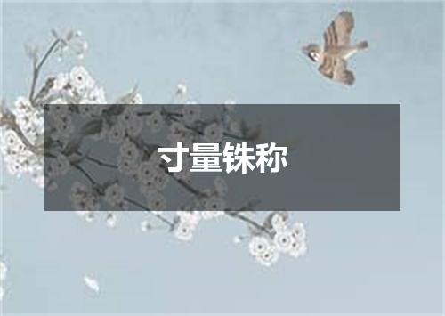 寸量铢称