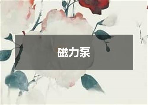 磁力泵