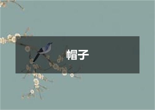 帽子