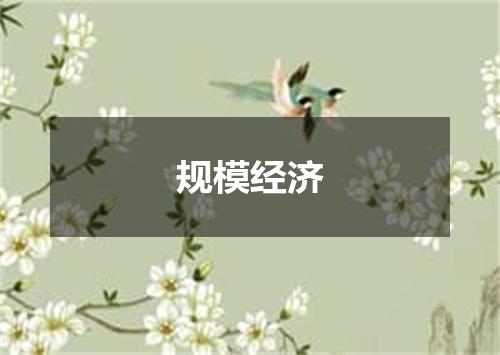 规模经济