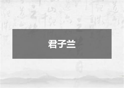 君子兰