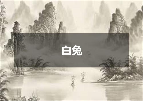 白兔