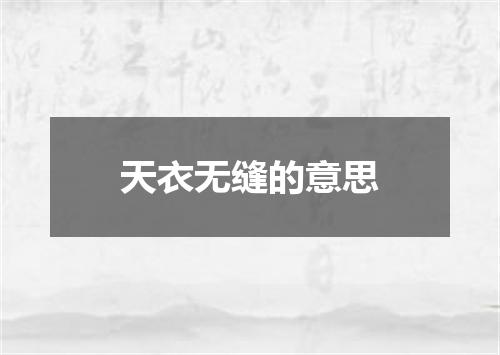 天衣无缝的意思