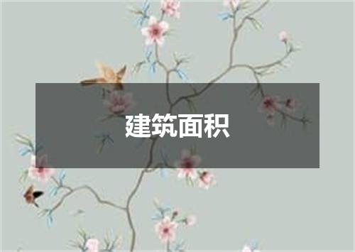 建筑面积
