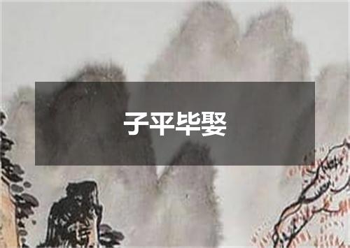 子平毕娶