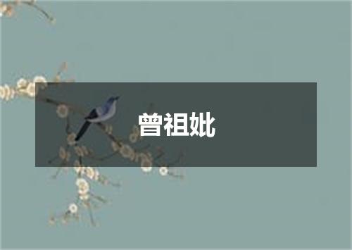 曾祖妣