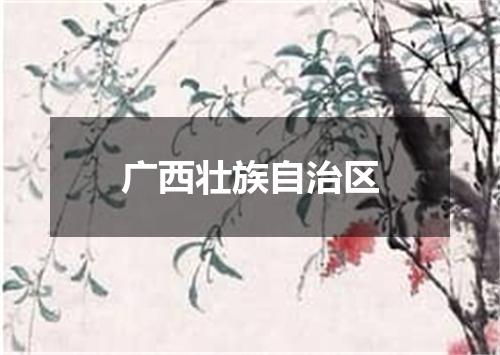 广西壮族自治区