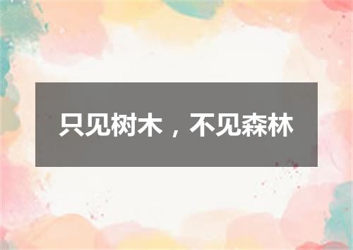 只见树木，不见森林