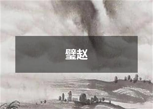 璧赵