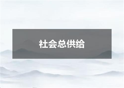 社会总供给
